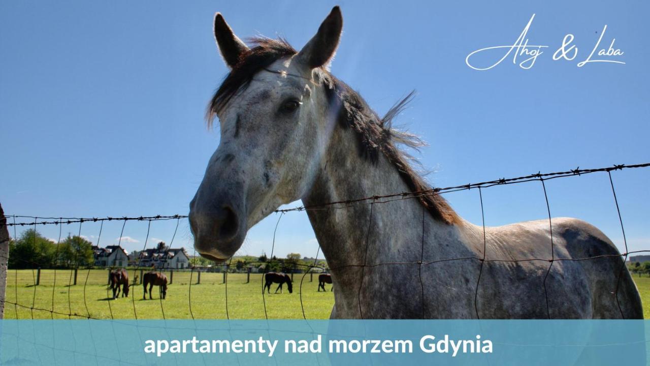 Laba - Basen, Blisko Plazy, Cisza, Taras, Parking, Bezplatne Wifi, Wyjatkowy! Lägenhet Gdynia Exteriör bild