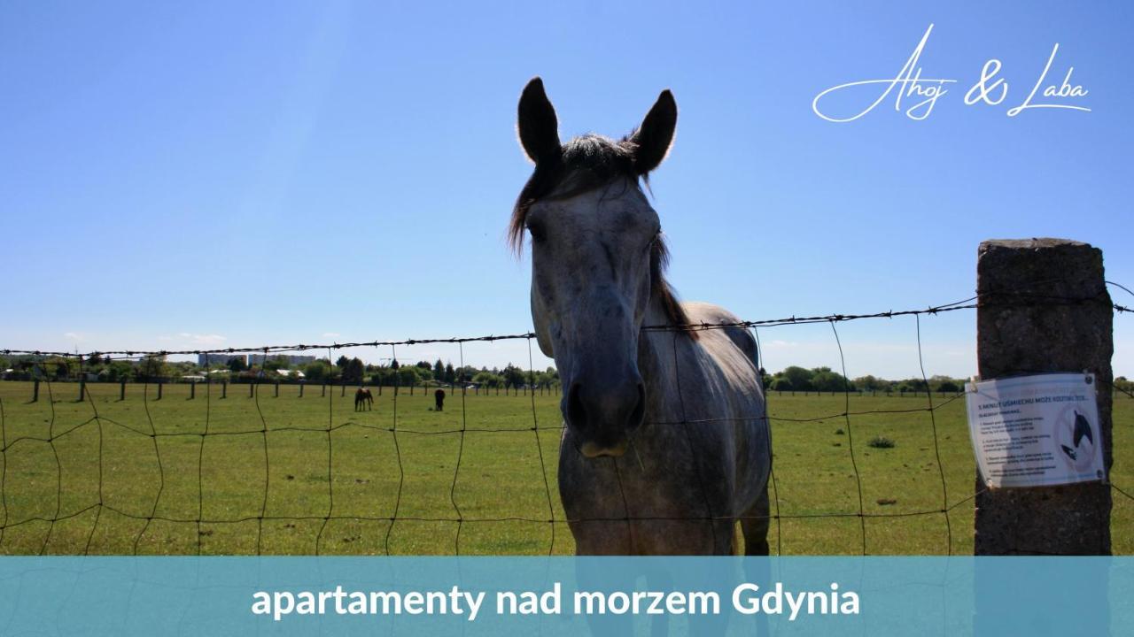 Laba - Basen, Blisko Plazy, Cisza, Taras, Parking, Bezplatne Wifi, Wyjatkowy! Lägenhet Gdynia Exteriör bild